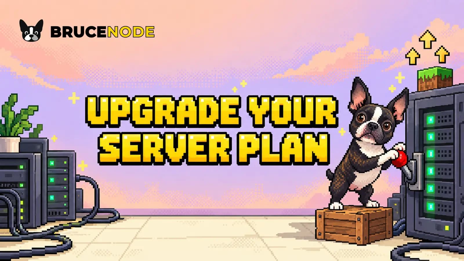 Dev Update: How to Upgrade Your Server Plan